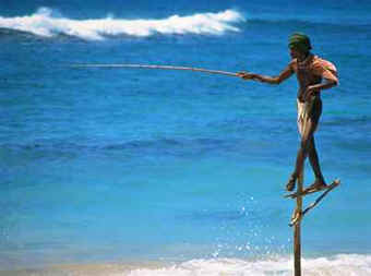 Stilt fisherman at work