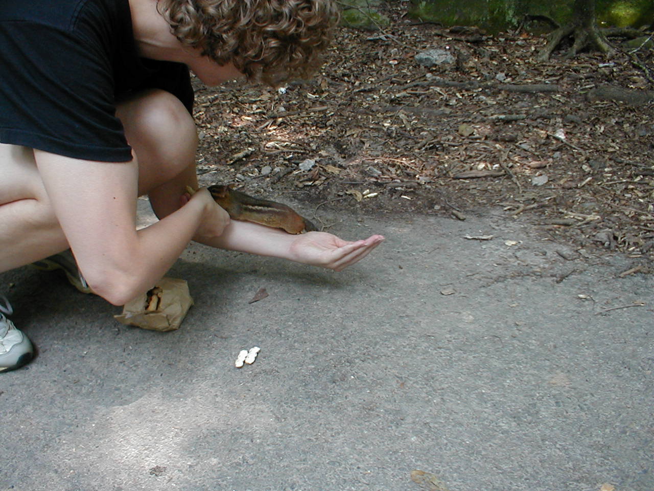Amber with a Chipmunk