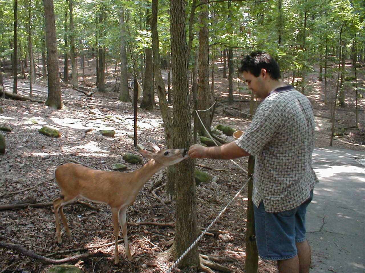 Marty with a deer