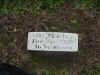 James Newlin's headstone.jpg (112408 bytes)