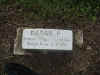 Sarah P. Newlin's headstone.jpg (100522 bytes)