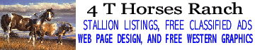 4 T Horses Western Graphics and web design