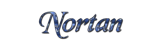 Nortan  Logo