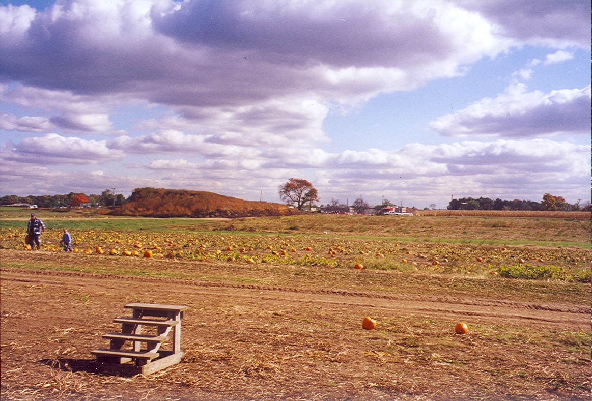 Cover of Second Reality, photo taken by Freda Terrell at Shadybrook Farm, October 2004