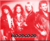 bloodgood2002pic1mm.gif (119265 bytes)