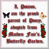 Adoption Certificate