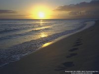 640_002.jpg (5529 bytes)