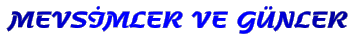 MEVS�MLER VE G�NLER