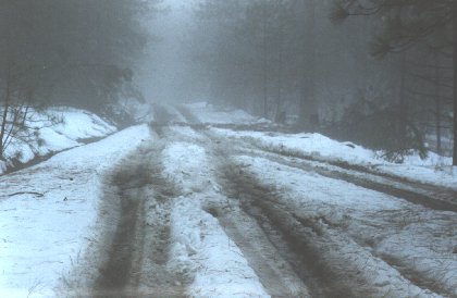 snow.jpg (24825 bytes)