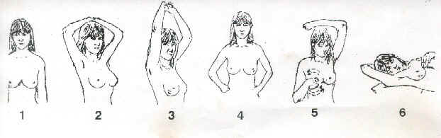 br2.JPG (49095 bytes)