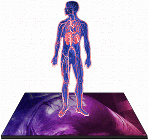 heart2.gif (30841 bytes)