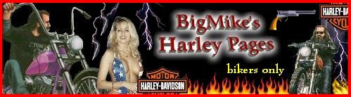 ENTER BigMike's Harley Pages