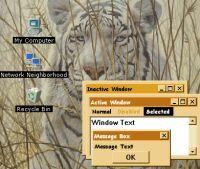 WhiteTiger1.jpg (11564 bytes)