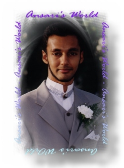 Ansari1.JPG (38954 bytes)