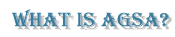 what is agsa