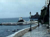 Andros. The road between coast and Modern art museum. Click to download in 800x600 size