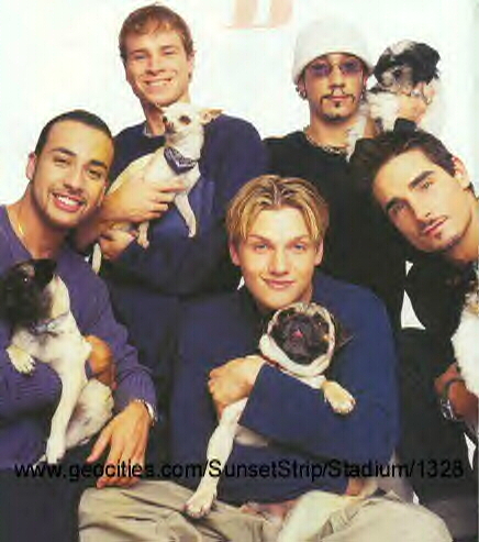 puppies.jpg (192089 bytes)