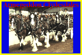 Click here to visit Armegeddon Clydesdales!