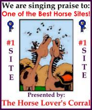 The Horse Lover's Corral Best Site Award!