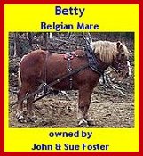 Click here to visit the Foster Family Homepage!