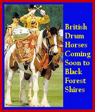 Click here to visit Black Forest Shires!