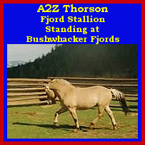 Click here to visit Bushwhacker Fjords!