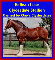 Click here to visit Clay's Clydesdales!