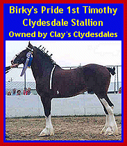 Click here to visit Clay's Clydesdales!