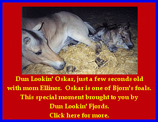 Click here to visit Dun Lookin' Fjords!