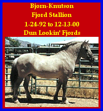 Click here to visit Dun Lookin' Fjords!