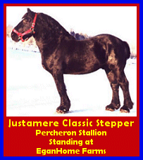 Click here to visit Egan Home Percherons!