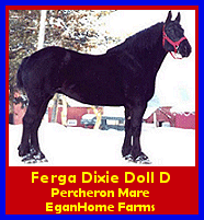 Click here to visit EganHome Farms!