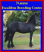Click here to visit Excalibur Breeding Center!