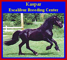 Click here to visit Excalibur Breeding Center!