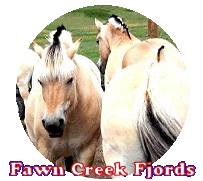 Click here to visit Fawn Creek Fjords!