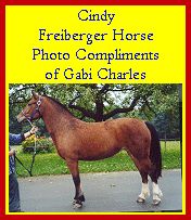 Click here for a contact to serious and conscientious breeders in Switzerland!