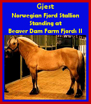 Click here to visit Beaver Dam Farm