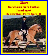 Click here to visit Beaver Dam Farm Fjords II
!