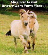Click here to visit Beaver Dam Farm Fjords II!