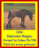 Click here for more pictures!