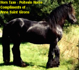 Click here to visit The Poitevin!