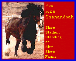 Click here to visit Shir Shire Farms!