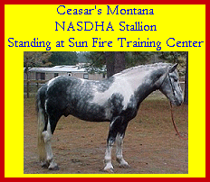Click here to visit Sun fire Training Center!