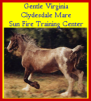 Click here to visit Sunfire Training Center!