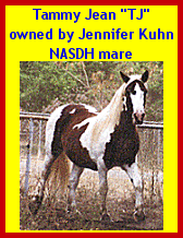 Click here to email TJ's owner!