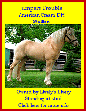 Click here for info about Trouble!