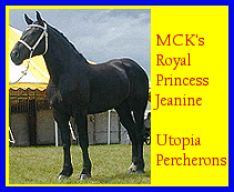 Click here to visit Utopia Percherons!