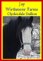 Click here to visit Wirthmoor Farms!