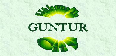Guntur