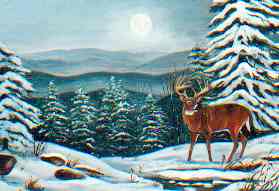 The Blue Ridge Mountains